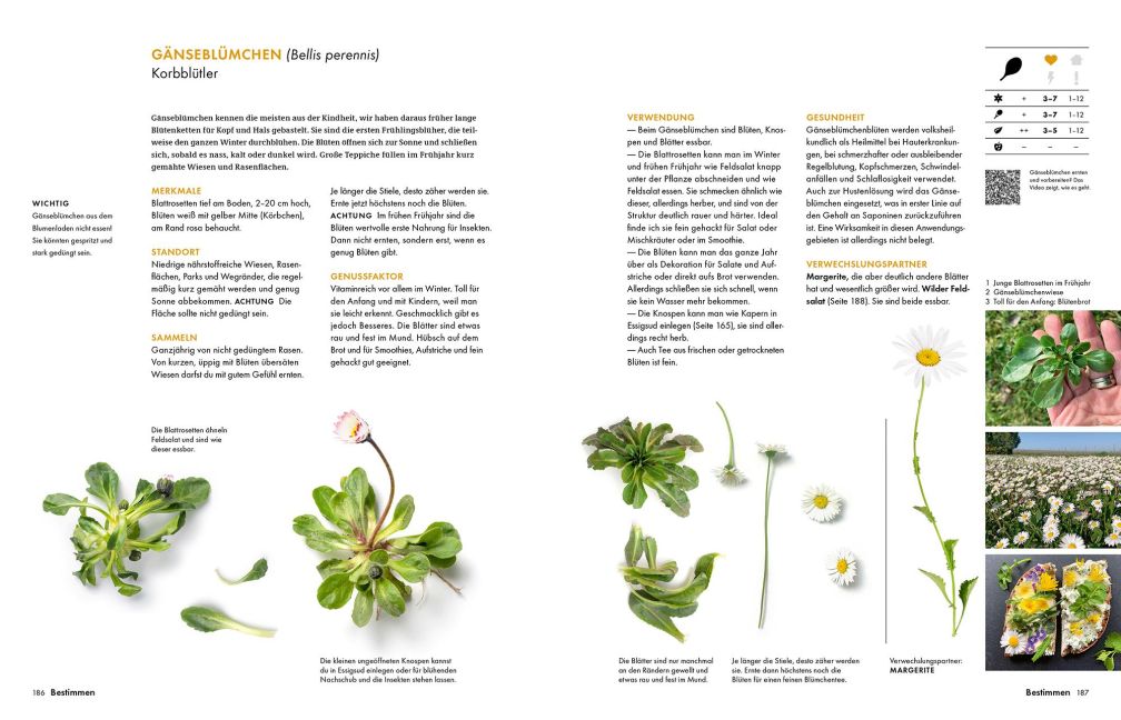 InsideView 16