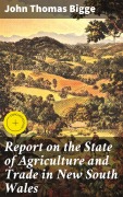 Cover-Bild zum Titel 'Report on the State of Agriculture and Trade in New South Wales' von 'John Thomas Bigge'