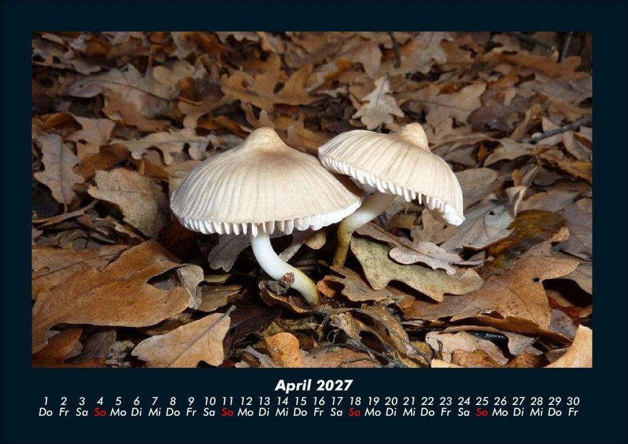 InsideView 8