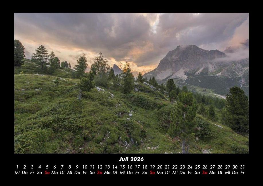 InsideView 11