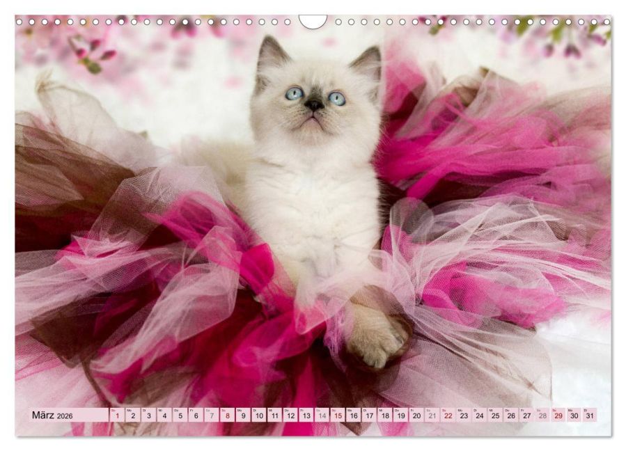 InsideView 8
