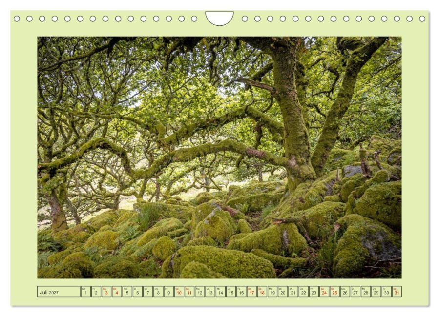 InsideView 12