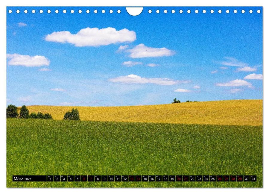 InsideView 8