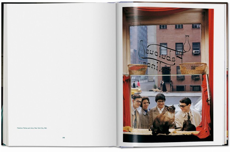 InsideView 13