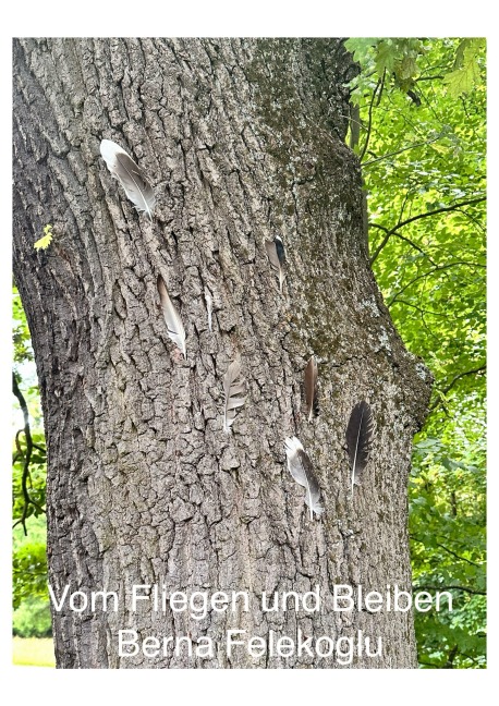 Vom Fliegen und Bleiben - Berna Felekoglu