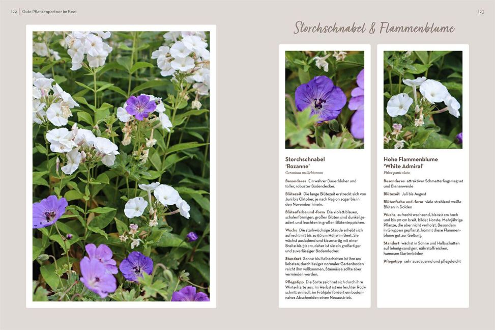 InsideView 5