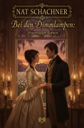 Cover-Bild zum Titel 'Bei den Dimmlampen: Historischer Roman' von 'Nat Schachner'