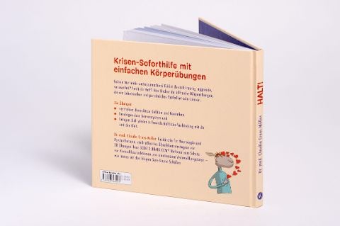 InsideView 2