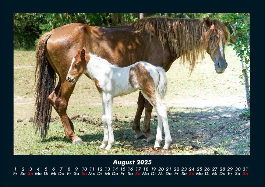 InsideView 12