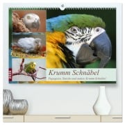 Krumm Schnäbel - Papageien, Sittiche und andere Krumm Schnäbel (hochwertiger Premium Wandkalender 2026 DIN A2 quer), Kunstdruck in Hochglanz - Barbara Mielewczyk