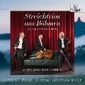 Cover-Bild zum Titel 'Streichtrios aus Böhmen' von 'Deutsches Streichtrio'