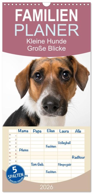 Familienplaner 2026 - Kleine Hunde - Große Blicke mit 5 Spalten (Wandkalender, 21 x 45 cm) CALVENDO - Akrema-Photography Akrema-Photography