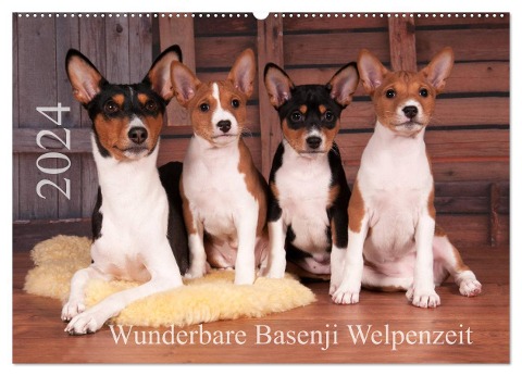 Wunderbare Basenji Welpenzeit (Wandkalender 2024 DIN A2 quer), CALVENDO Monatskalender - Angelika Joswig