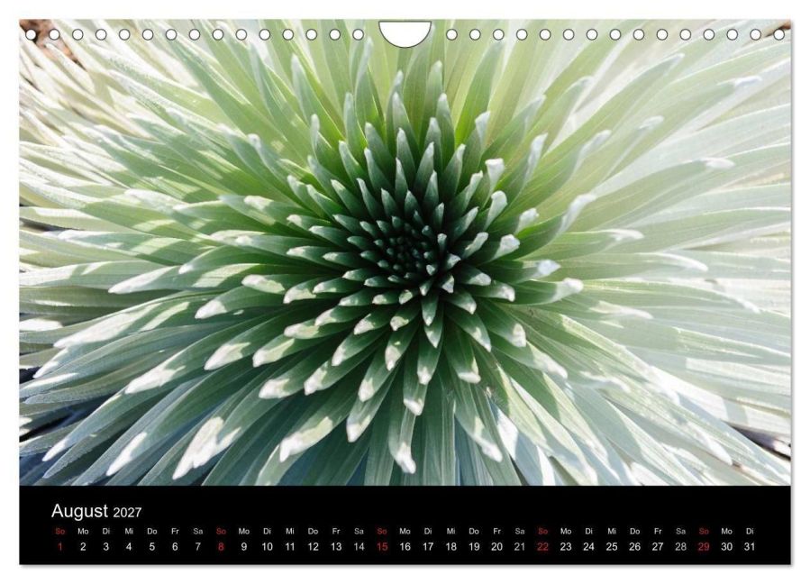 InsideView 13