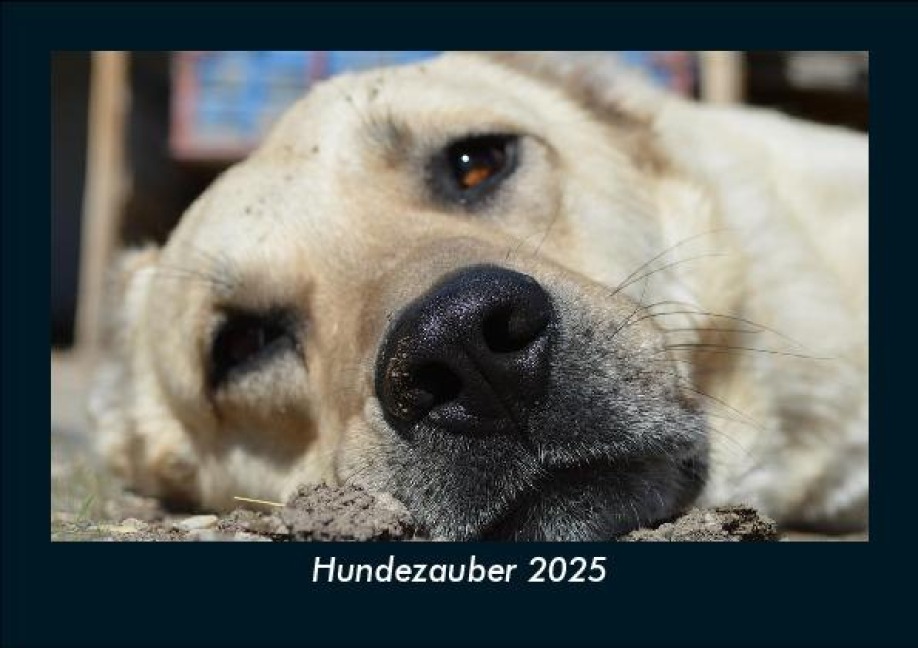 Hundezauber 2025 Fotokalender DIN A5 - Tobias Becker