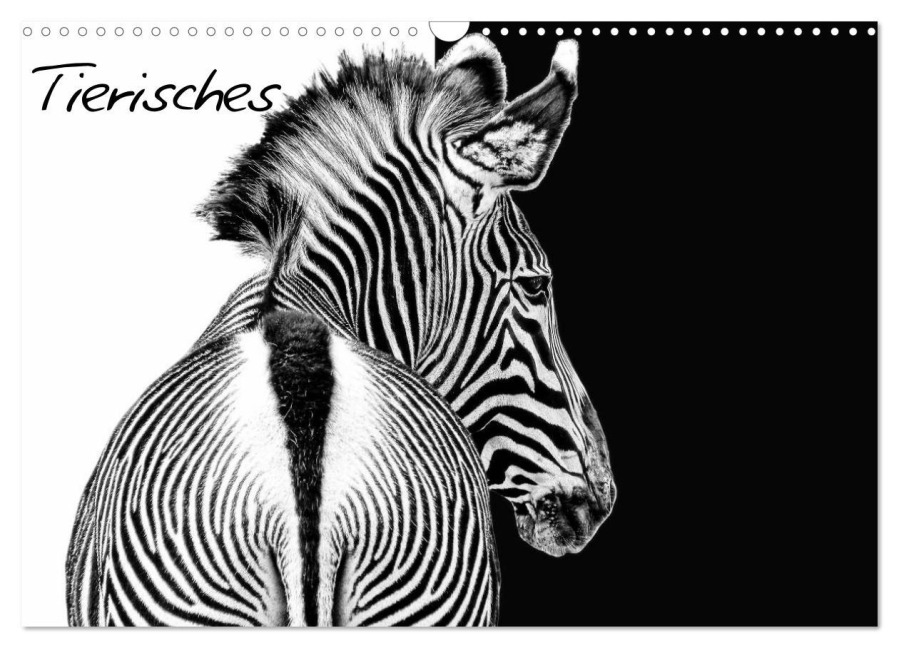 Tierisches (Wandkalender 2026 DIN A3 quer), CALVENDO Monatskalender - Jo. PinX Jo. PinX