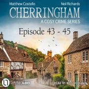 Cover-Bild zum Titel 'Episode 43-45' von 'Matthew Costello, Neil Richards'