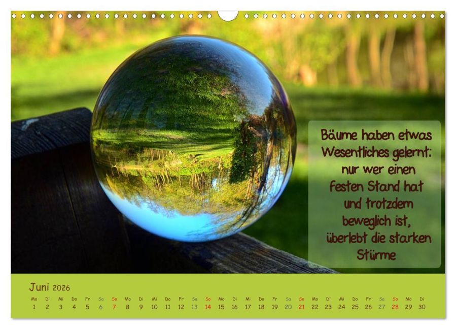 InsideView 11