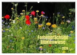 Farbenprächtige Blumenwiese (Wandkalender 2026 DIN A2 quer), CALVENDO Monatskalender - Thilo Seidel