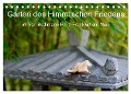 Garten des Himmlischen Friedens im Von-Bethmann-Park, Frankfurt am Main (Tischkalender 2025 DIN A5 quer), CALVENDO Monatskalender - Christoph Höfer
