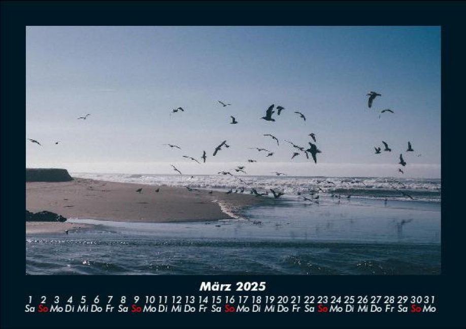 InsideView 7
