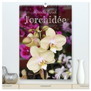 Miracle floral l'orchidée (Calendrier mural 2026 DIN A2 horizontal) calendrier de bureau - Gisela Kruse