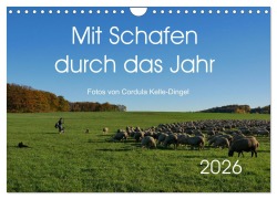 Cover-Bild zum Titel 'Mit Schafen durch das Jahr (Wandkalender 2026 DIN A4 quer), CALVENDO Monatskalender' von 'CoKeDi-Photographie Kelle-Dingel'