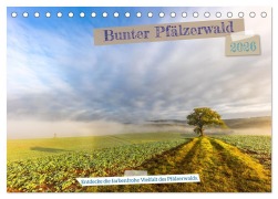 Cover-Bild zum Titel 'Bunter Pfälzerwald (Tischkalender 2026 DIN A5 quer), CALVENDO Monatskalender' von 'Momentfänger Patricia Flatow'