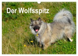 Cover-Bild zum Titel 'Der Wolfsspitz (Wandkalender 2026 DIN A3 quer), CALVENDO Monatskalender' von 'S. Werner-Ney'