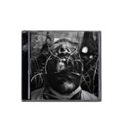 Cover-Bild zum Titel 'Extraction' von 'Larcenia Roe'