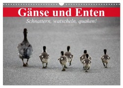 Gänse und Enten. Schnattern, watscheln, quaken! (Wandkalender 2026 DIN A3 quer), CALVENDO Monatskalender - Elisabeth Stanzer
