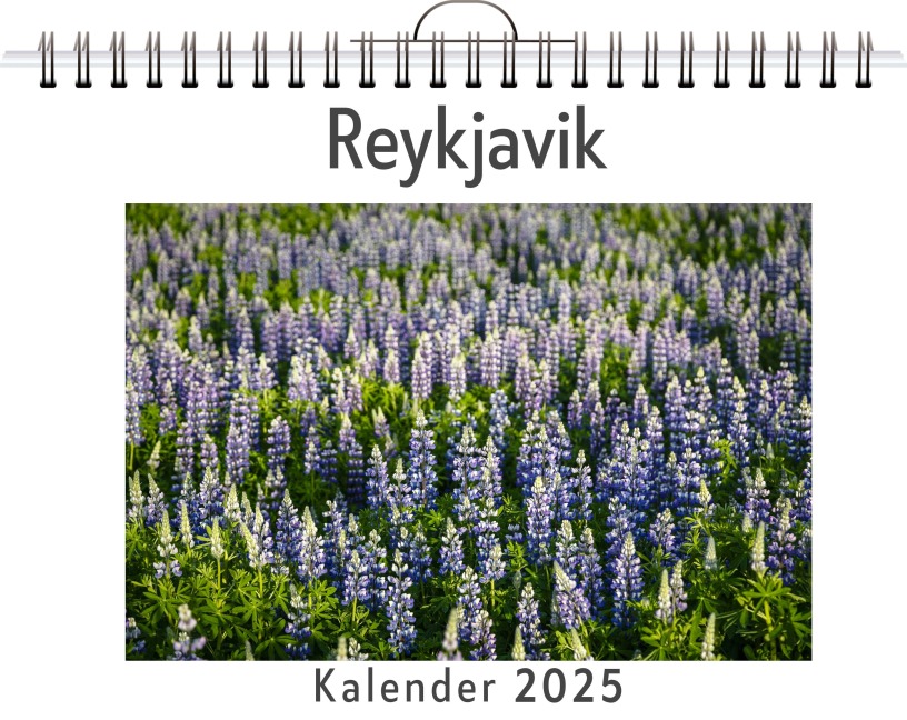 Reykjavik - Sarah Kaiser