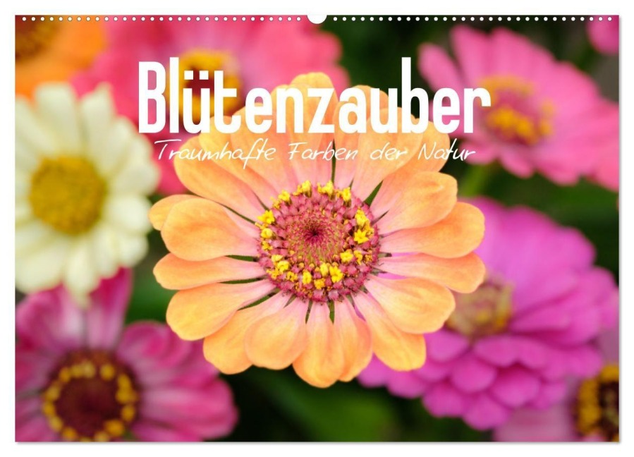 Blütenzauber - Traumhafte Farben der Natur (Wandkalender 2027 DIN A2 quer), CALVENDO Monatskalender - Benpx Media
