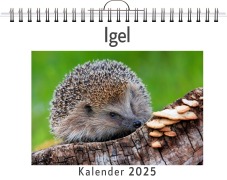 Cover-Bild zum Titel 'Igel' von 'Nora Lange'