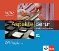 Cover-Bild zum Titel 'Aspekte Beruf B1/B2 Brückenelement und B2' von 'Corinna Gerhard, Tanja Mayr-Sieber, Anna Pohlschmidt, Helen Schmitz, Bettina Schwieger'