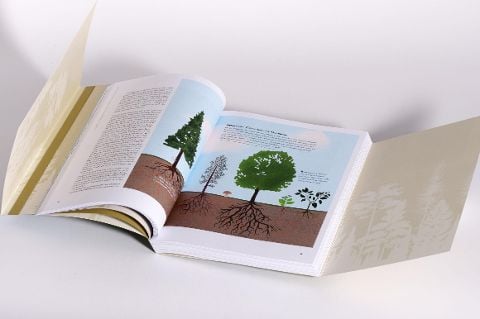InsideView 12