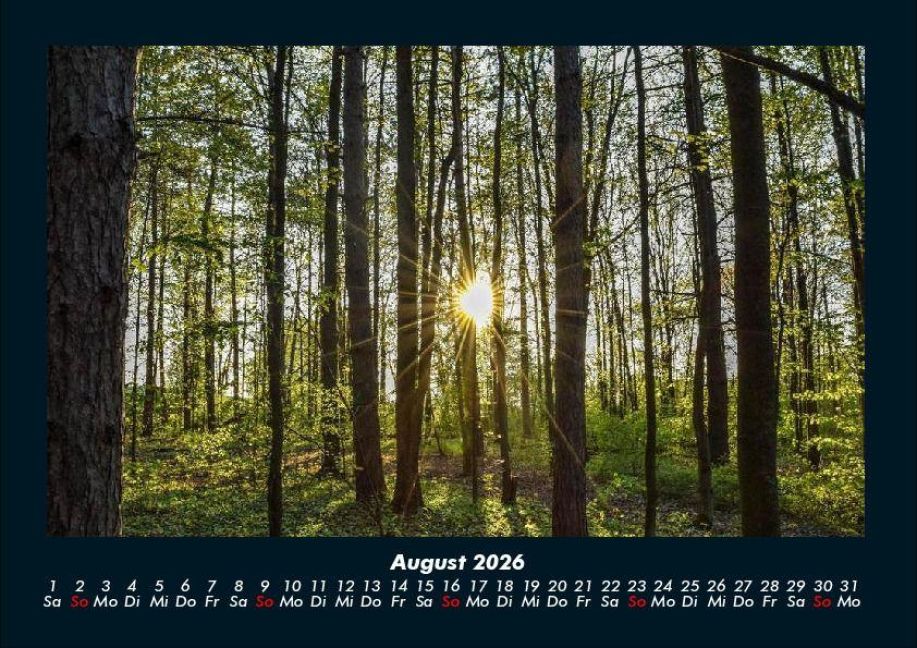 InsideView 12