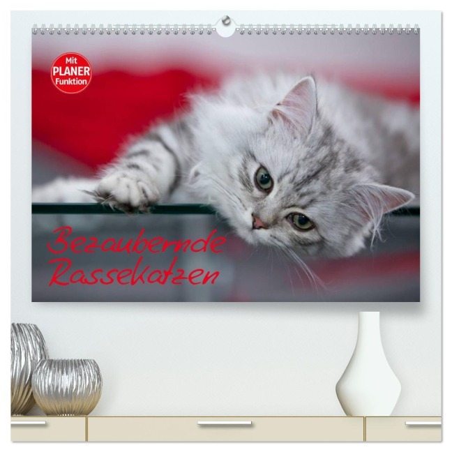 Bezaubernde Rassekatzen (hochwertiger Premium Wandkalender 2026 DIN A2 quer), Kunstdruck in Hochglanz - Melanie Viola