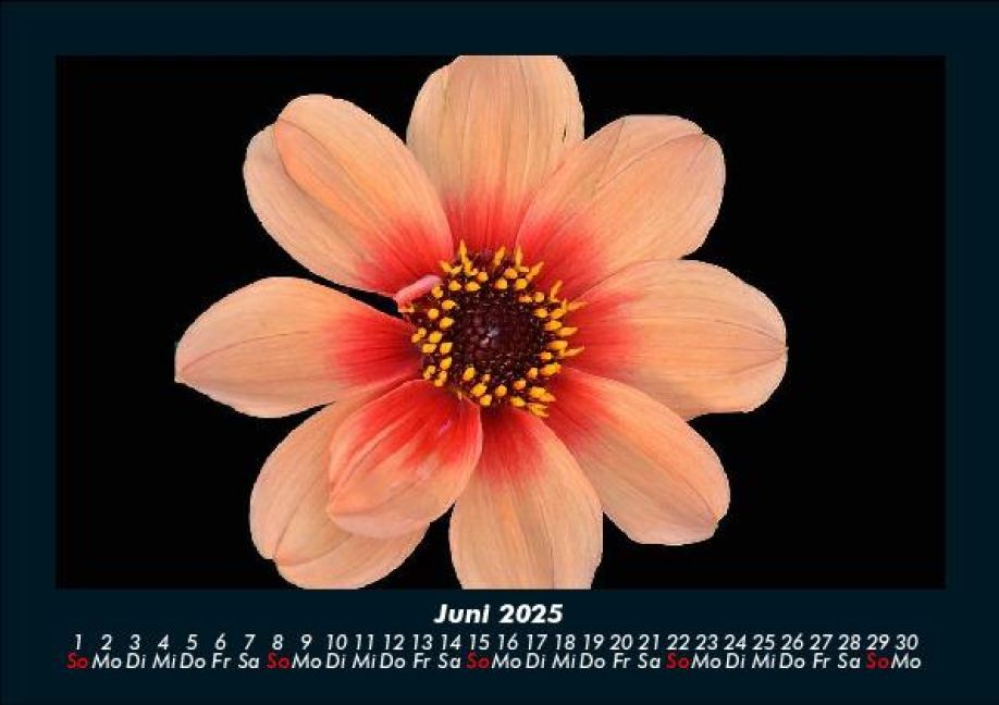 InsideView 10