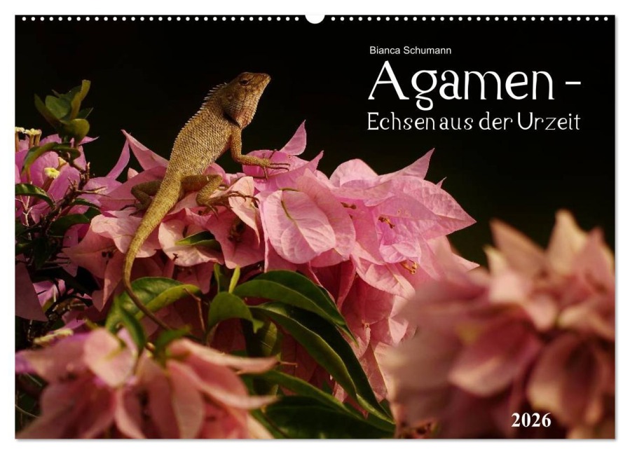 Agamen - Echsen aus der Urzeit (Wandkalender 2026 DIN A2 quer), CALVENDO Monatskalender - Bianca Schumann