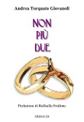 Cover-Bild zum Titel 'Non più due' von 'Andrea Torquato Giovanoli'