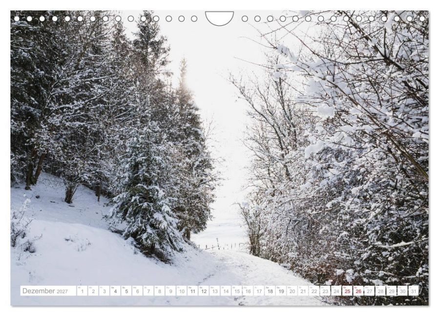 InsideView 4