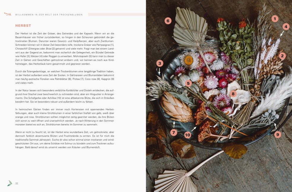 InsideView 6