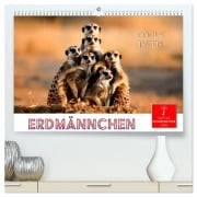 Erdmännchen - coole Typen (hochwertiger Premium Wandkalender 2025 DIN A2 quer), Kunstdruck in Hochglanz - Peter Roder