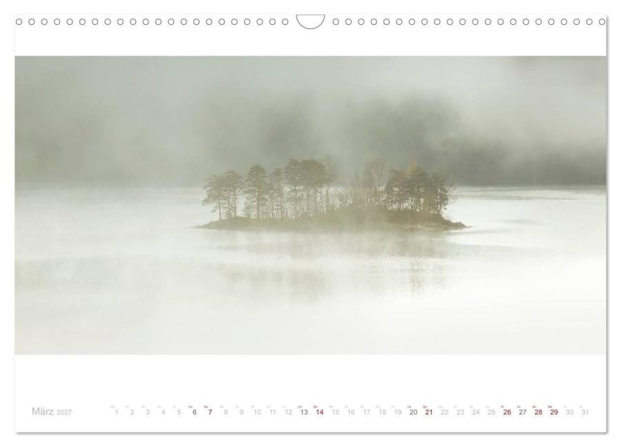 InsideView 8