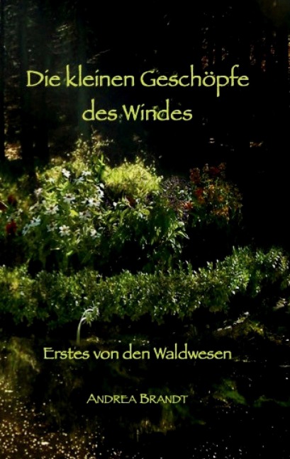 Die kleinen Geschöpfe des Windes - Andrea Brandt