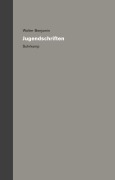 Cover-Bild zum Titel 'Werke und Nachlaß. Kritische Gesamtausgabe' von 'Walter Benjamin'
