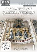 Cover-Bild zum Titel 'Bachwerke auf Silbermann-Orgeln' von ''