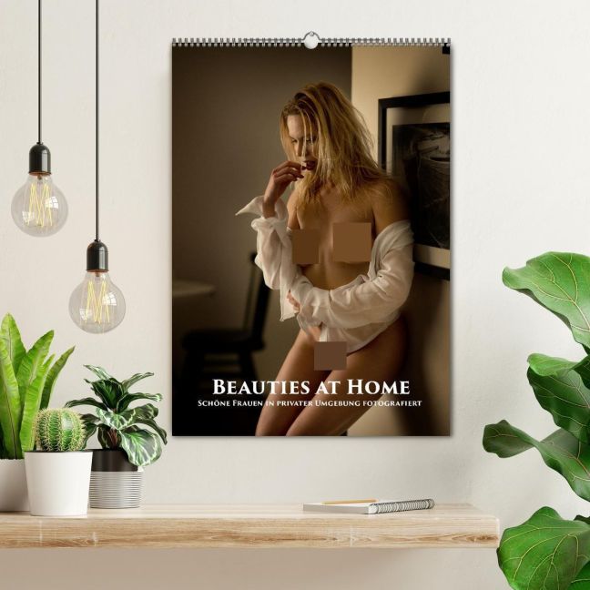 InsideView 1