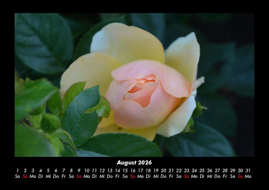 InsideView 12